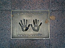 The hands of Sir Ian McKellen.jpg