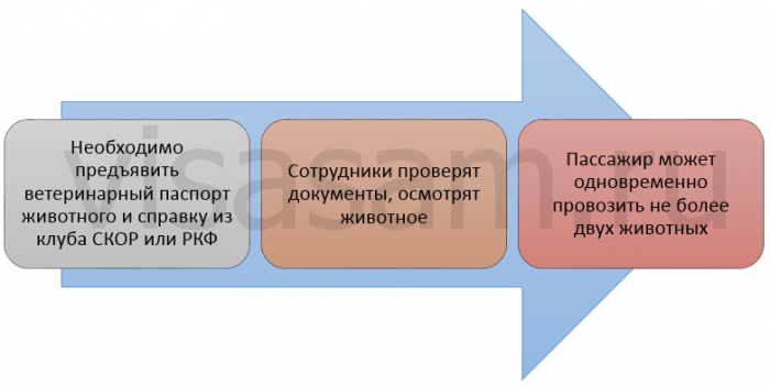 ветеринарный контроль