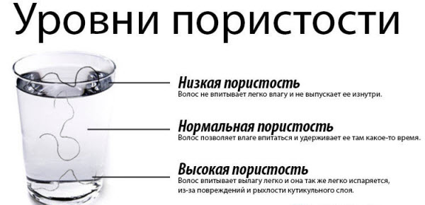 Как определить тип волос и кожи головы