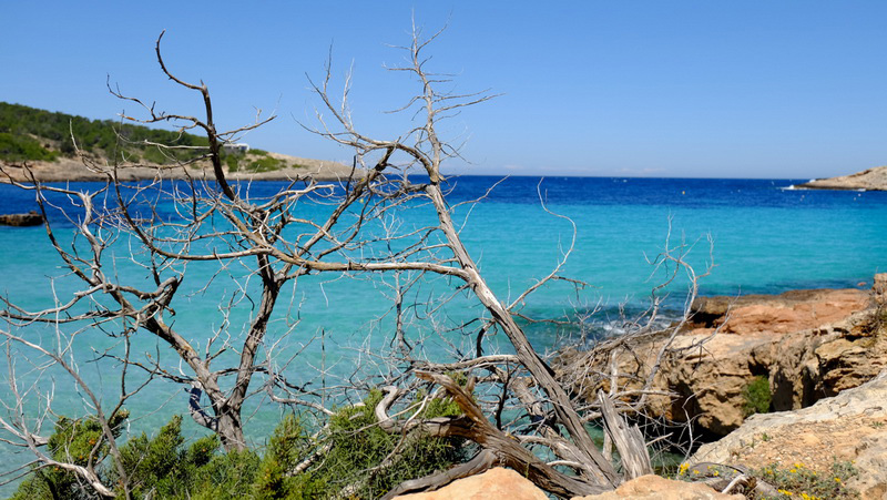 Просторный пляж с идеальным песочком и длинной береговой линией portinatx0001