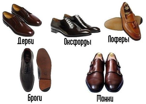 Основные виды мужских туфель.