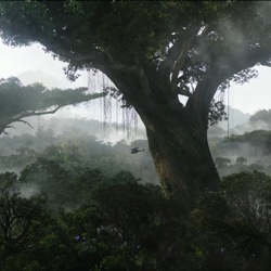 10 самых фантастических деревьев мира