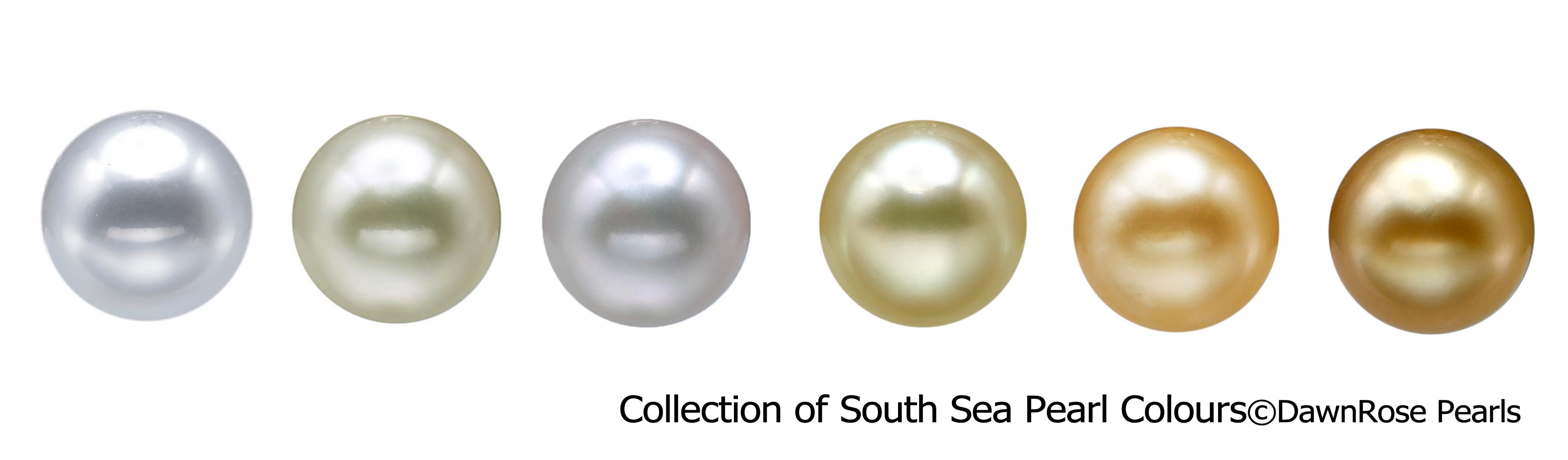 collection of south sea pearl colurs